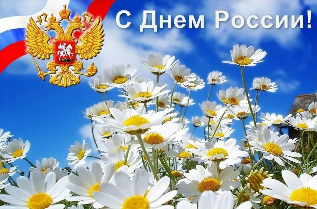 412f4f43 7cab 4989 8ff4 74adb8b1e5e9