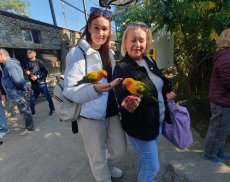 Экскурсия в Парк &quot;Малинки&quot;