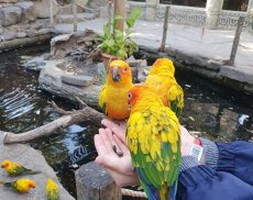 Экскурсия в Парк &quot;Малинки&quot;